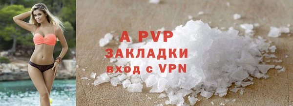сатива Елабуга