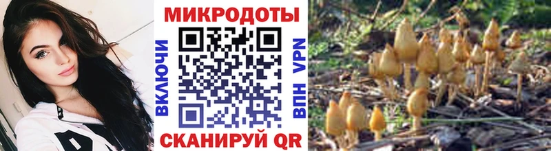 Галлюциногенные грибы Cubensis  Люберцы 