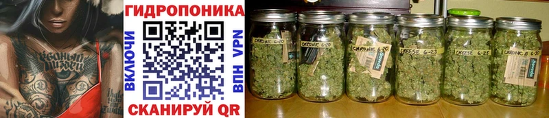shop как зайти Люберцы Бошки Шишки White Widow как найти закладки